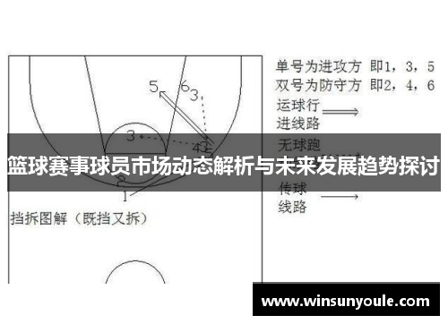 篮球赛事球员市场动态解析与未来发展趋势探讨